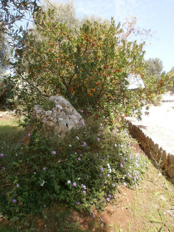 Trullo Villa Giuliana Con Giardino Posizione Panoramica Free Wifi Остуні Екстер'єр фото