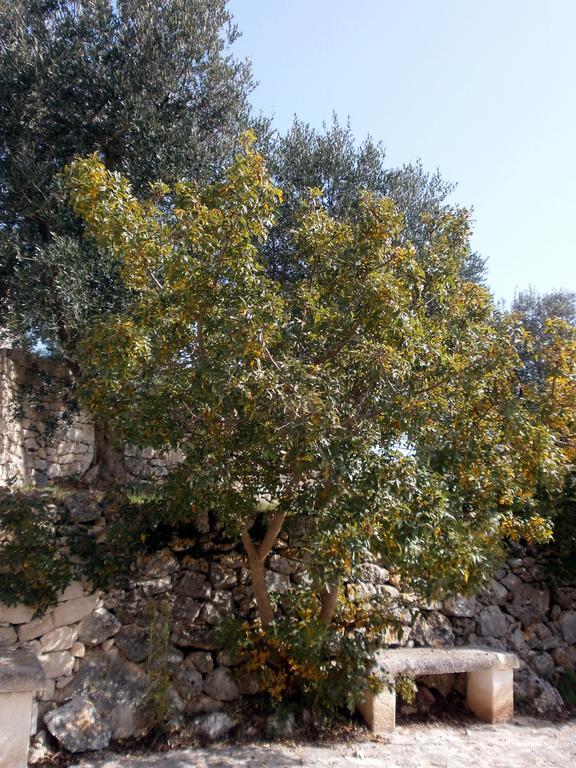 Trullo Villa Giuliana Con Giardino Posizione Panoramica Free Wifi Остуні Номер фото